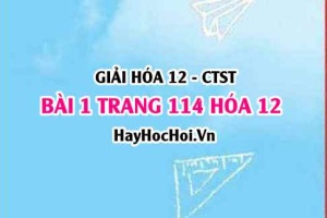 Giải bài 1 trang 114 Hóa 12 Chân trời sáng tạo SGK